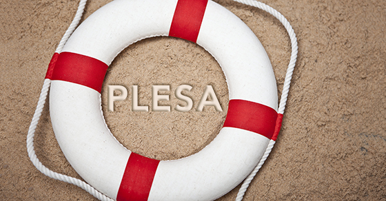 plesa life ring