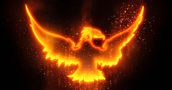 phoenix bird on fire