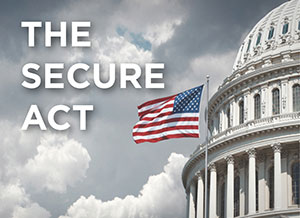 image of senate building and American flag