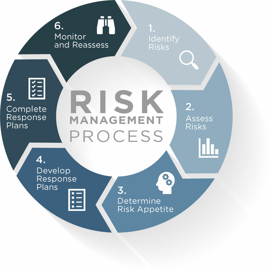 risk management six step process