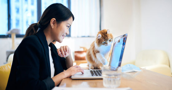 woman at computer with cat looking at screen