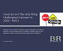Webinar Recording: EBP Part 1 - COVID-19 isn't the only thing challenging employers in 2020